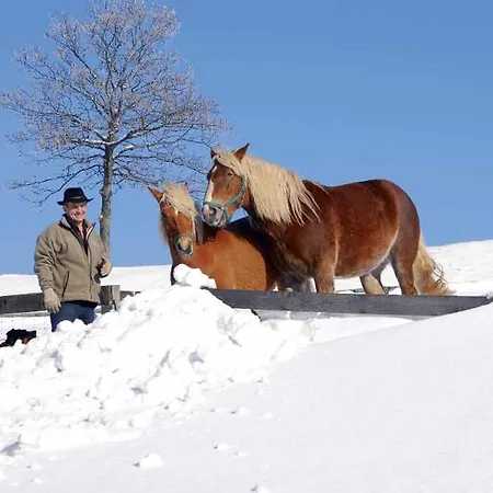 شقة Ferien- Und Freizeithof Bindl سانكت انجلمار